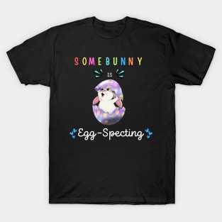 Some Bunny Is Eggspecting T-Shirt